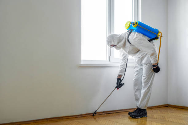 Best Affordable Pest Control Services  in Norwood, NY