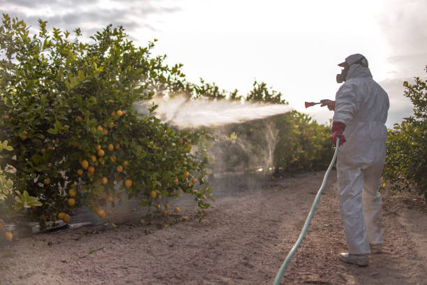 Best Emergency Pest Control  in Norwood, NY